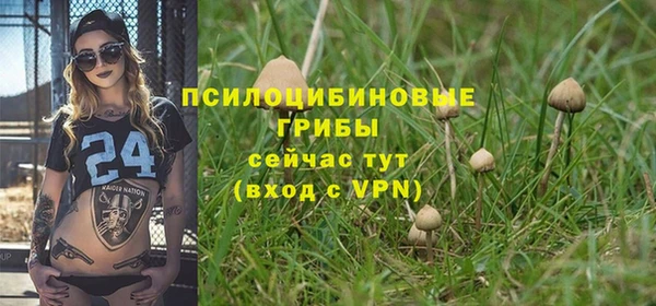 спайс Лихославль