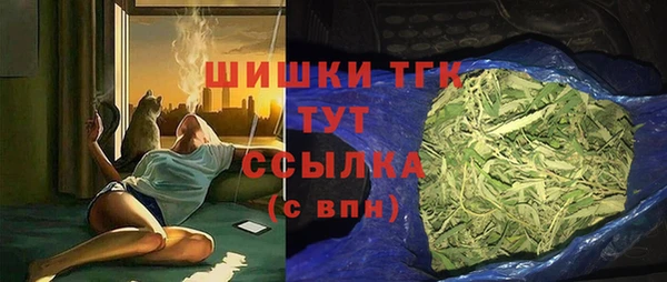 сатива Кострома
