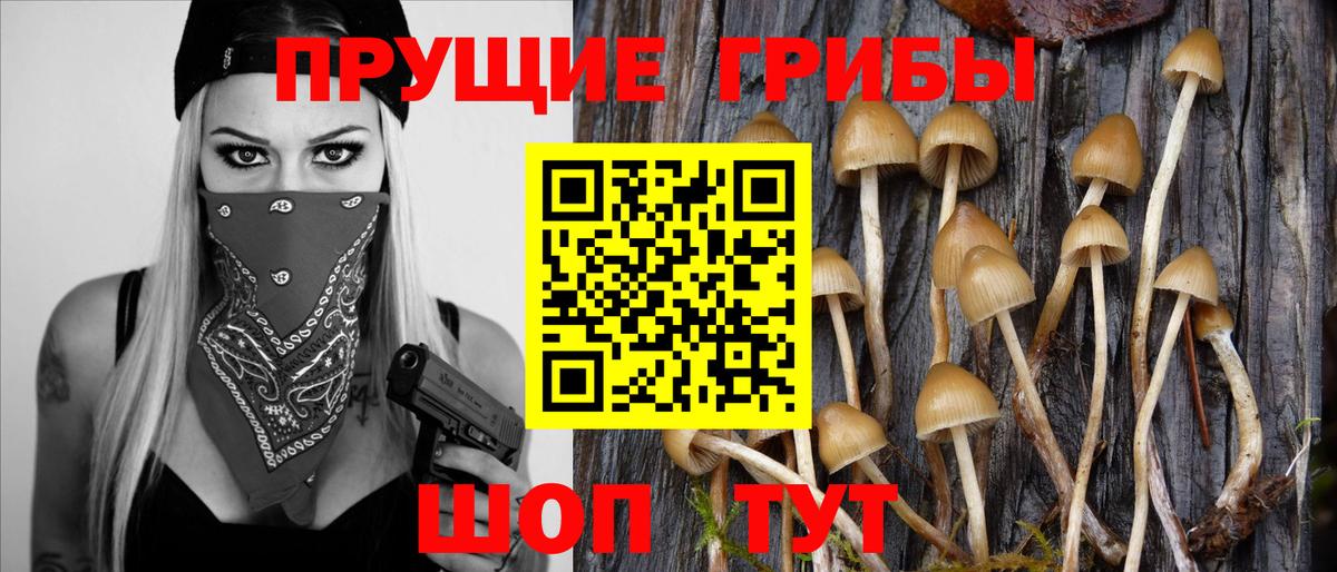 Псилоцибиновые грибы ЛСД  даркнет сайт  Смоленск  Вход с VPN 